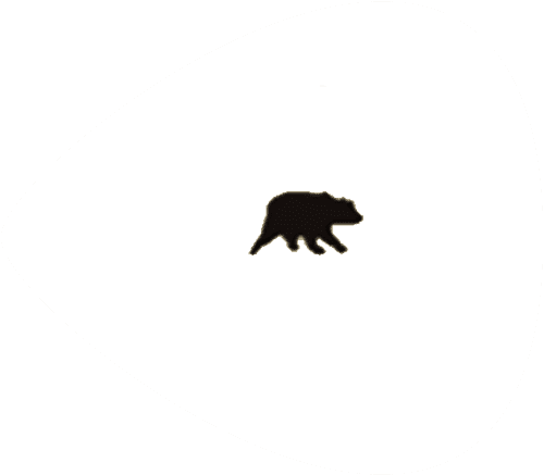 GiftYa wrapper